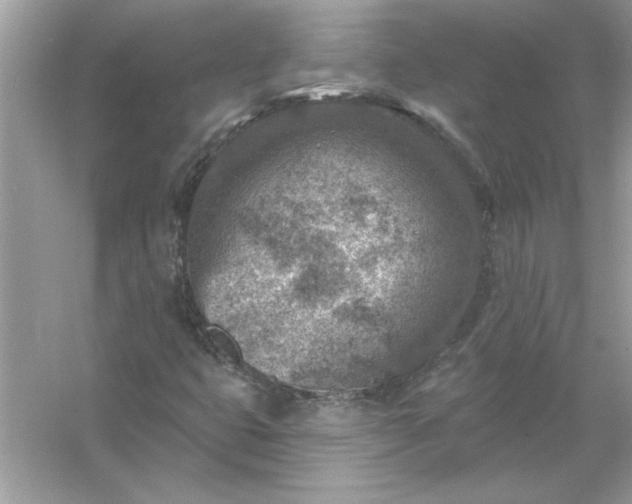 X0000054301399200508042258.png