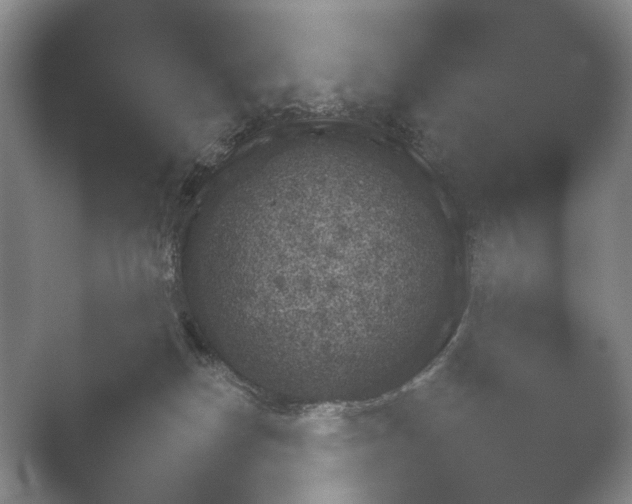 X0000052150182200507052001.png