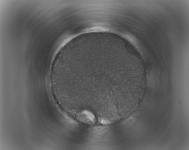 X0000053461373200508112146.png