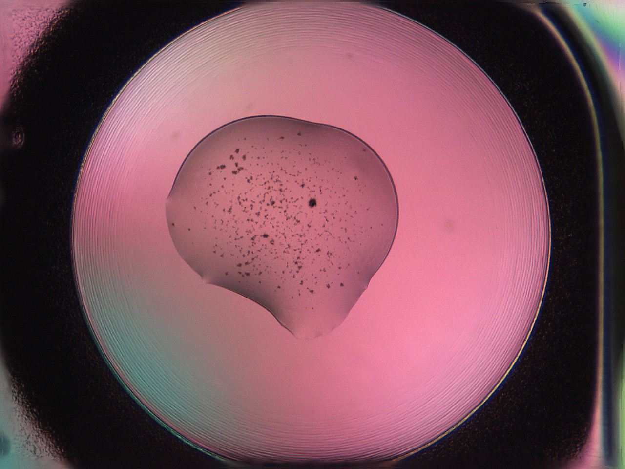 05dx_F5_ImagerDefaults_4.jpg