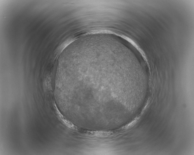 X0000054350905200508190125.png