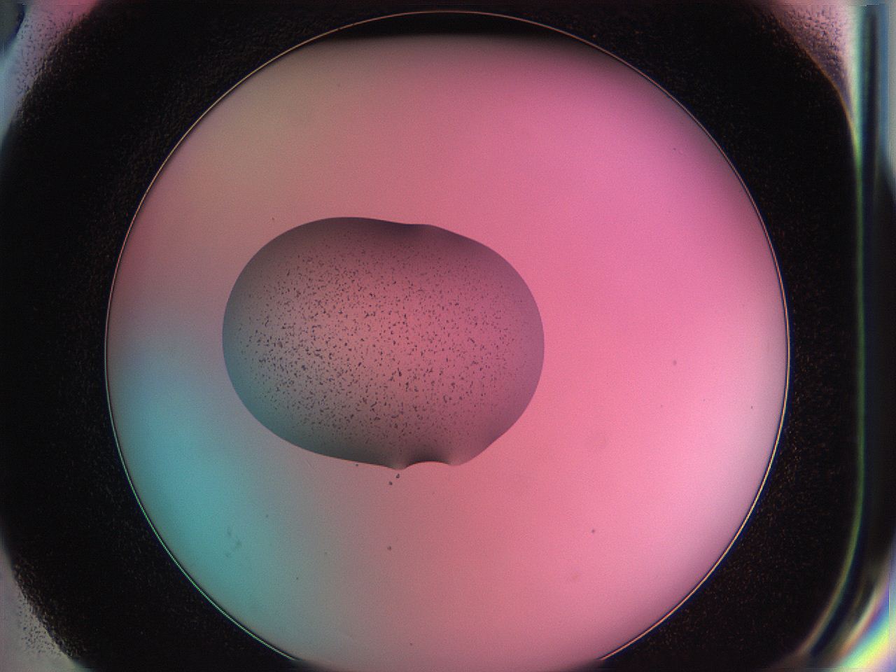 05dz_G6_ImagerDefaults_4.jpg