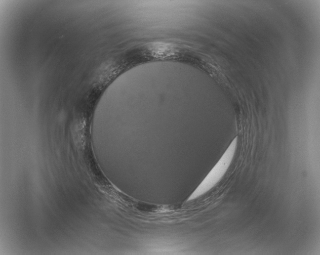 X0000054350319200508190135.png