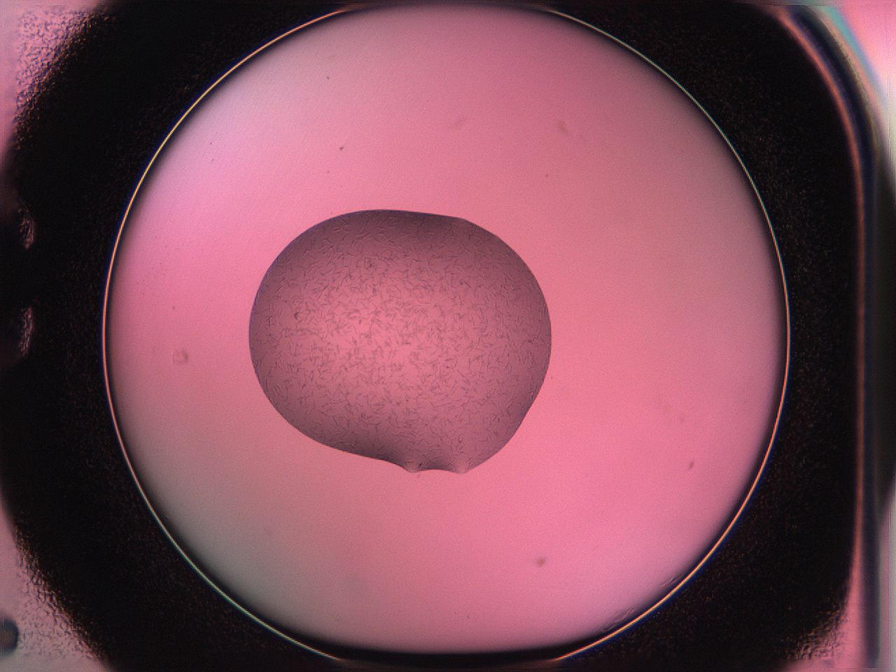 05dz_C5_ImagerDefaults_6.jpg