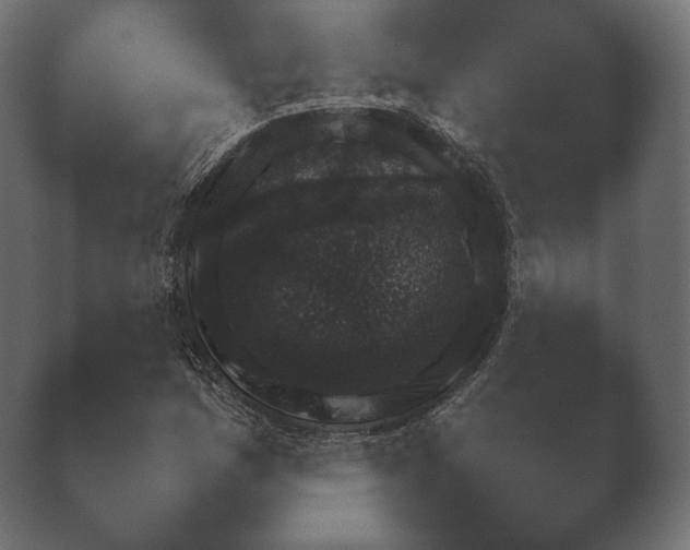 X0000040561161200411021421.png