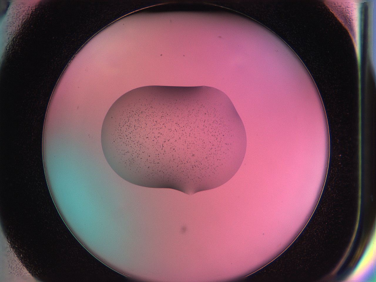 05dz_G3_ImagerDefaults_4.jpg