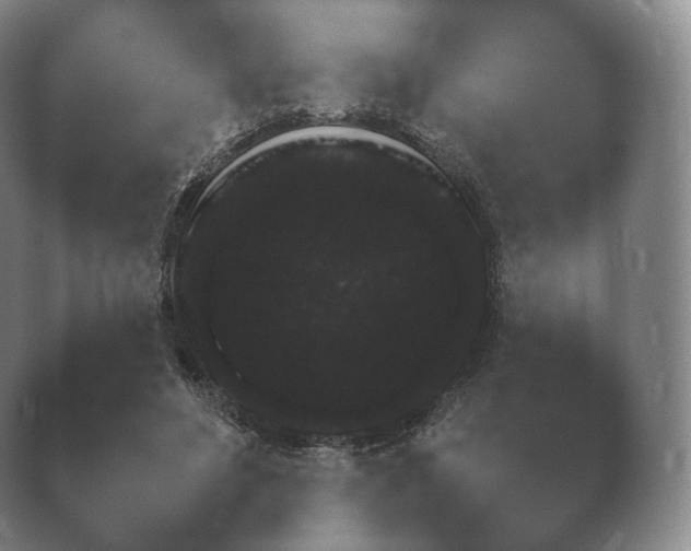 X0000038850496200410131832.png
