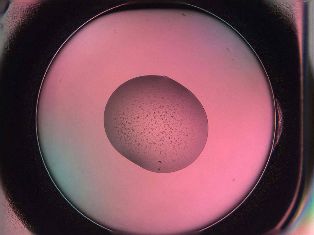 05dz_E6_ImagerDefaults_4.jpg