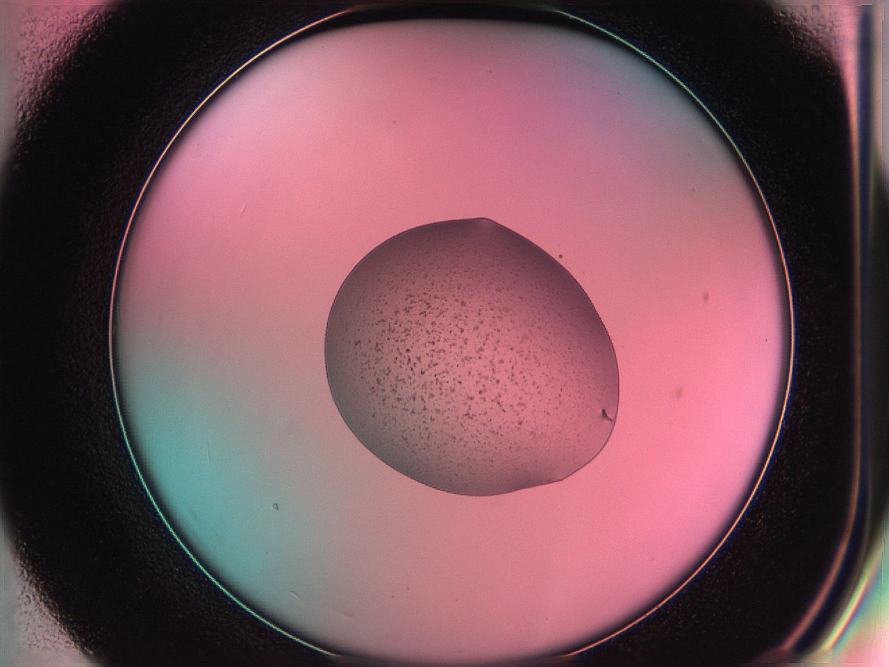 05dz_E7_ImagerDefaults_4.jpg