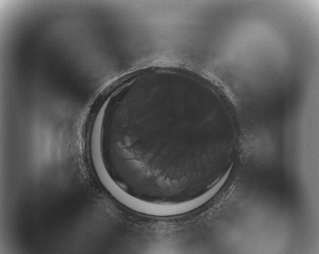 X0000045391027200501241357.png