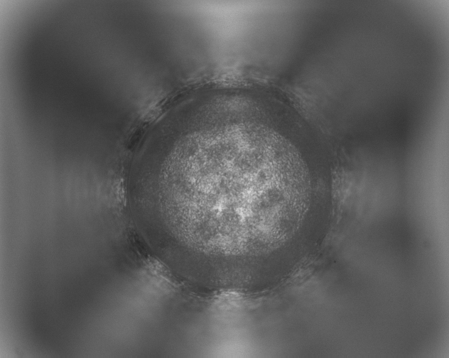 X0000052150669200507051953.png