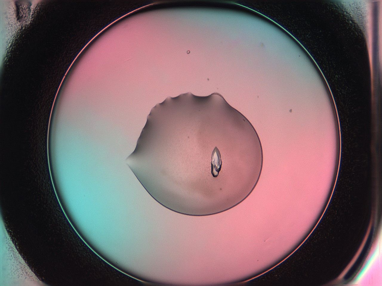 05e1_E11_ImagerDefaults_9.jpg