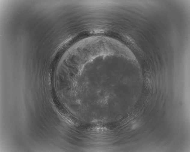 X0000054350543200508190131.png