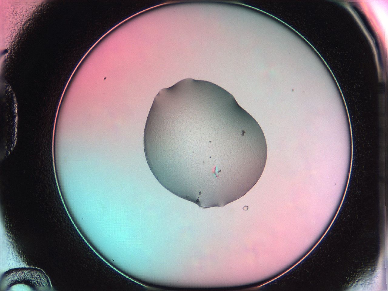 05e1_D12_ImagerDefaults_8.jpg