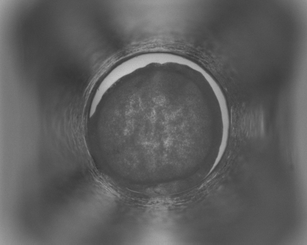 X0000051110099200507141807.png