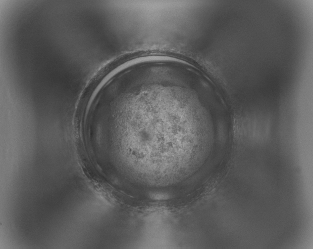 X0000052280628200507132029.png