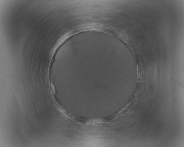 X0000054350099200508190139.png