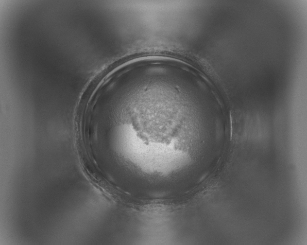 X0000052280435200507132032.png