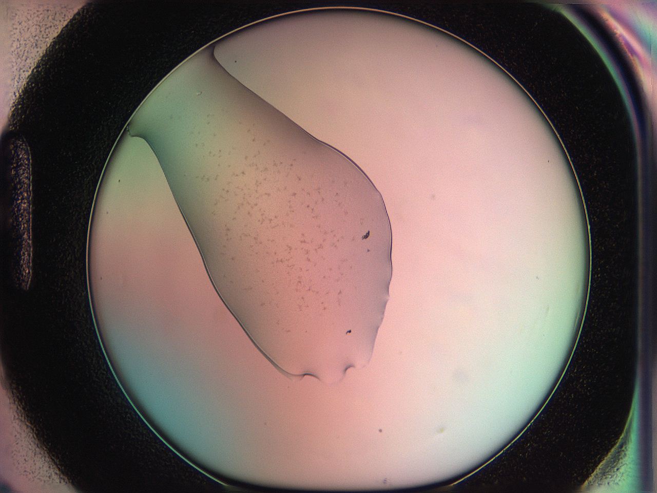 05e1_H9_ImagerDefaults_4.jpg