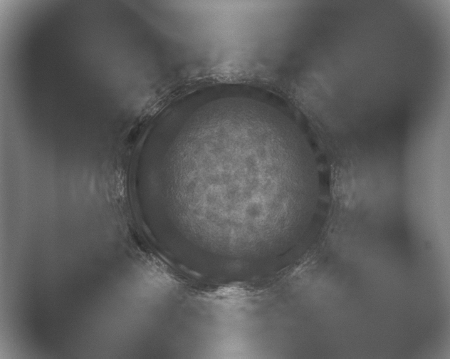X0000052150478200507051956.png