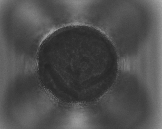 X0000038851262200410131818.png