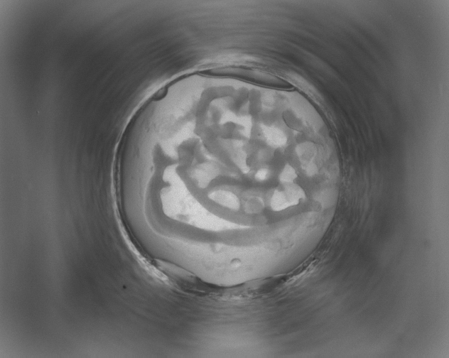 X0000055251055200509071610.png