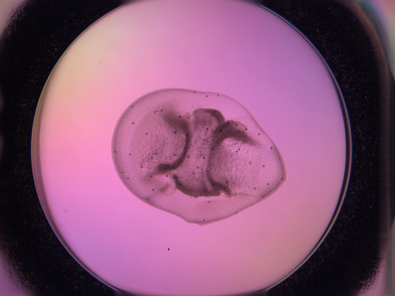 05e3_C3_ImagerDefaults_4.jpg