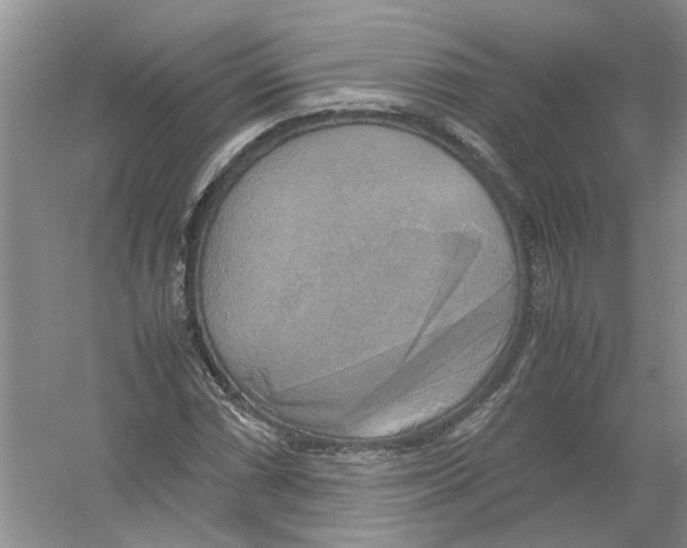 X0000054271066200508261910.png
