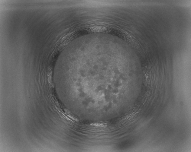 X0000055060745200508161645.png