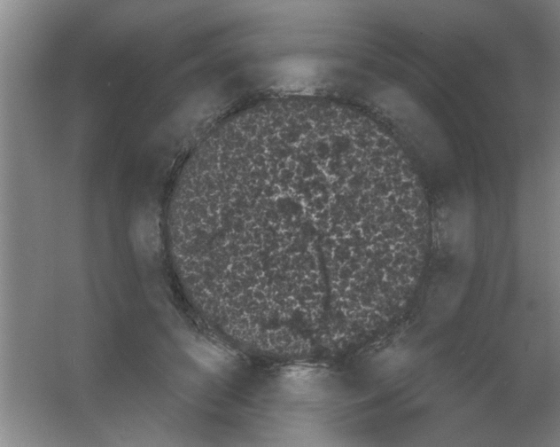 X0000053460504200508112201.png