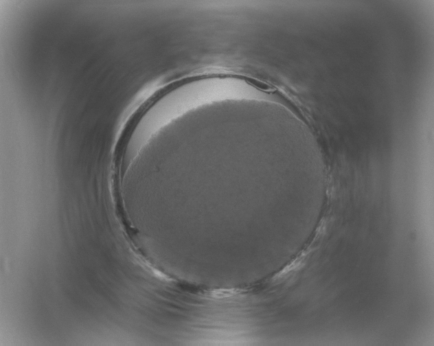 X0000054350152200508190137.png
