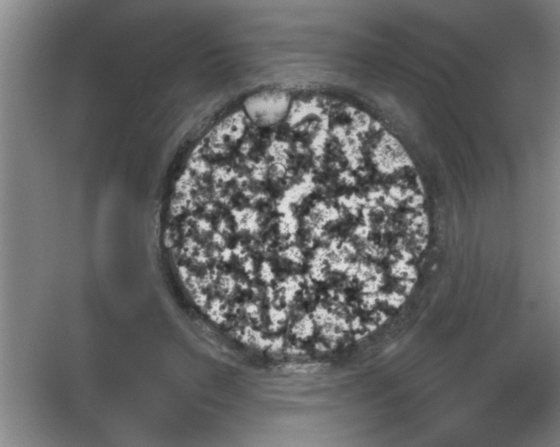X0000053460495200508112201.png