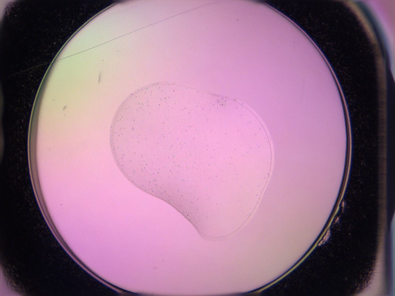 05e4_B2_ImagerDefaults_6.jpg