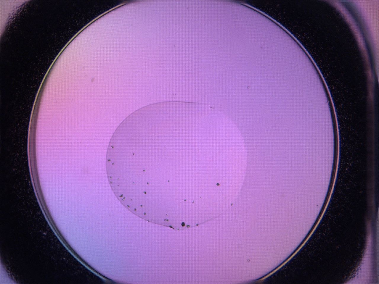 05e4_B9_ImagerDefaults_6.jpg