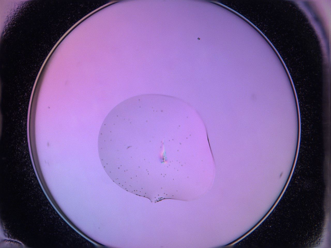 05e4_B12_ImagerDefaults_6.jpg