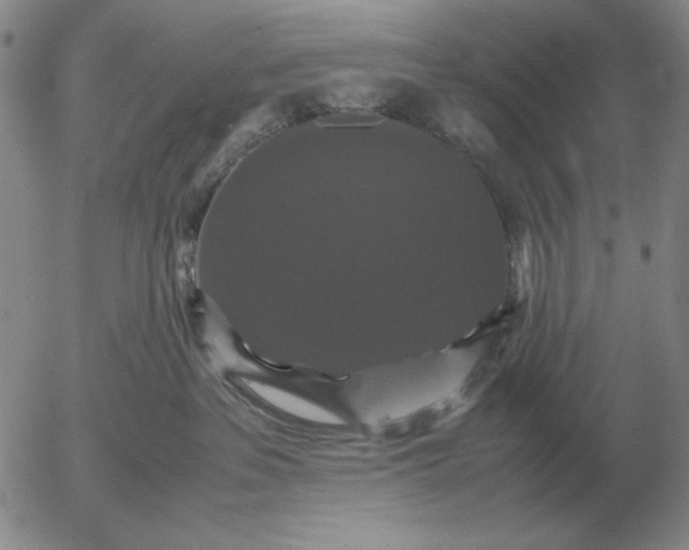 X0000054170237200508101807.png