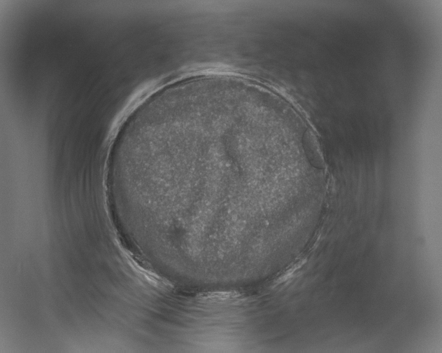 X0000055210151200508301331.png