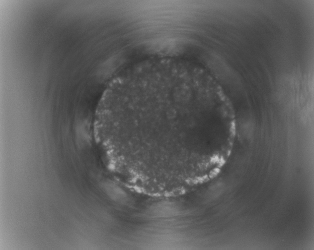 X0000053461010200508112151.png