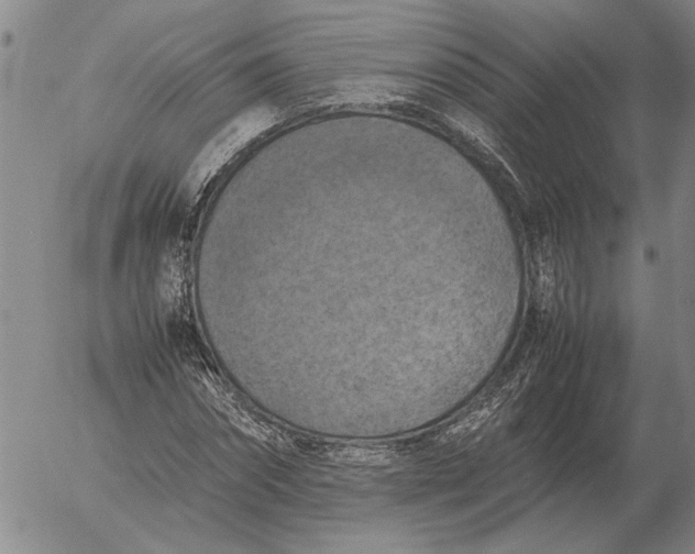 X0000054170874200508101757.png