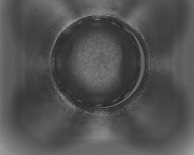 X0000038921037200409291000.png