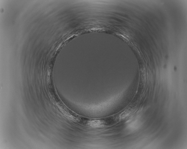 X0000054170269200508101807.png