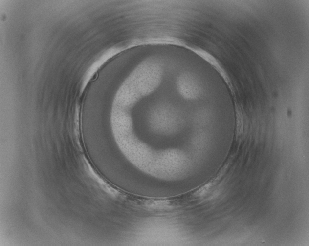 X0000054171006200508101755.png