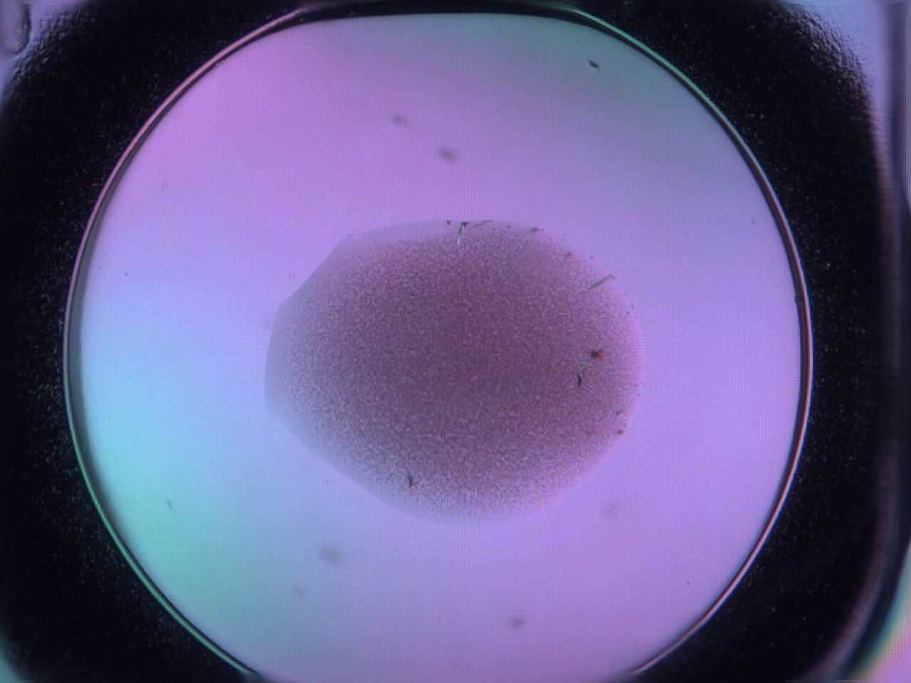 05e4_D11_ImagerDefaults_6.jpg