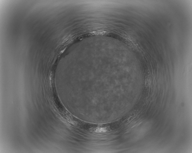 X0000054350647200508190129.png