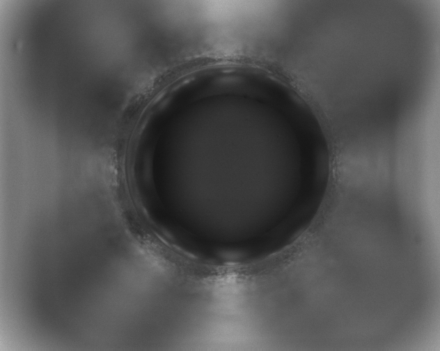 X0000054730688200508171852.png