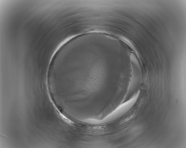 X0000054351149200508190121.png