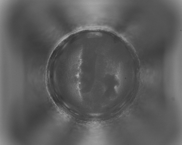 X0000052151229200507051943.png