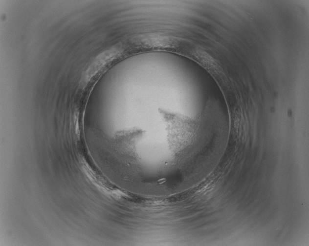 X0000054650398200508091647.png