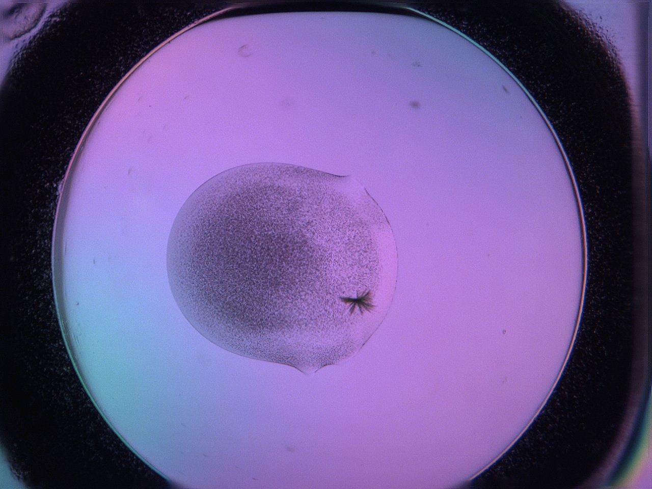 05e5_C10_ImagerDefaults_7.jpg