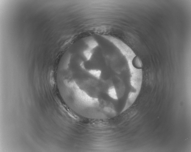 X0000054350962200508190124.png